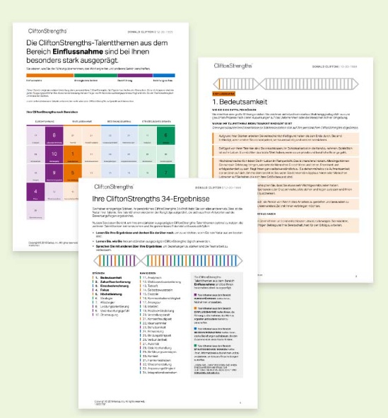 CliftonStrengths Stärkenprofil